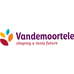 VDM - logo